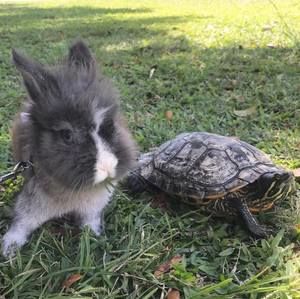 Meet your Posher, Chanel